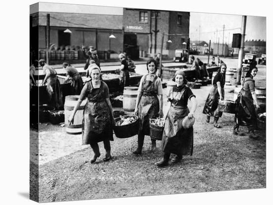 Scottish Fisherwomen at Yarmouth Gathering and Cleaning Herring-null-Stretched Canvas