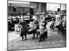 Scottish Fisherwomen at Yarmouth Gathering and Cleaning Herring-null-Mounted Photographic Print