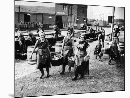 Scottish Fisherwomen at Yarmouth Gathering and Cleaning Herring-null-Mounted Photographic Print