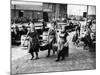 Scottish Fisherwomen at Yarmouth Gathering and Cleaning Herring-null-Mounted Photographic Print