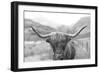 Scottish Highland Cattle III Neutral Crop-Alan Majchrowicz-Framed Photographic Print