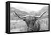 Scottish Highland Cattle III Neutral Crop-Alan Majchrowicz-Framed Stretched Canvas