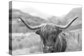 Scottish Highland Cattle III Neutral Crop-Alan Majchrowicz-Stretched Canvas