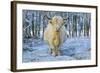 Scottish Highland Cow in Falling Snow-null-Framed Photographic Print