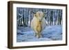 Scottish Highland Cow in Frost-null-Framed Photographic Print