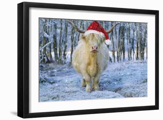 Scottish Highland Cow in Snowy Scene-null-Framed Photographic Print