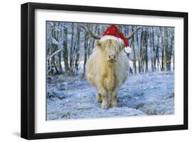 Scottish Highland Cow in Snowy Scene-null-Framed Photographic Print