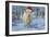 Scottish Highland Cow in Snowy Scene-null-Framed Photographic Print