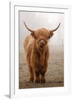 Scottish Highland Cow-Franz Peter Rudolf-Framed Photographic Print