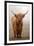 Scottish Highland Cow-Franz Peter Rudolf-Framed Photographic Print