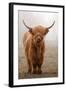 Scottish Highland Cow-Franz Peter Rudolf-Framed Photographic Print