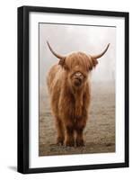 Scottish Highland Cow-Franz Peter Rudolf-Framed Photographic Print