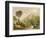 Scottish Highland Moor Scene with a Stag Set Against Majestic Hills-F. Lydon-Framed Photographic Print