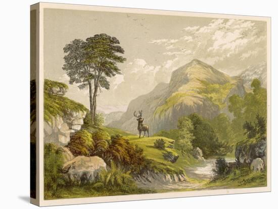 Scottish Highland Moor Scene with a Stag Set Against Majestic Hills-F. Lydon-Stretched Canvas