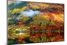 Scottish Highlands Fall Colors-null-Mounted Art Print
