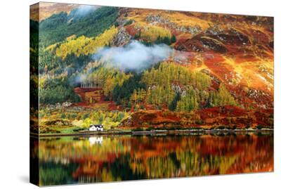 'Scottish Highlands Fall Colors' Stretched Canvas Print | AllPosters.com