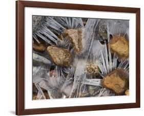 Scottish Highlands, Glencoe, Frozen Rocks in a Riverbed Below the Buachaille Etive Mor, Scotland-Paul Harris-Framed Photographic Print