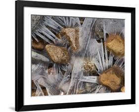 Scottish Highlands, Glencoe, Frozen Rocks in a Riverbed Below the Buachaille Etive Mor, Scotland-Paul Harris-Framed Photographic Print