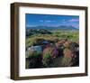 Scottish Highlands-null-Framed Art Print