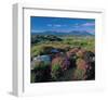 Scottish Highlands-null-Framed Art Print