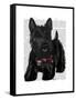 Scottish Terrier and Bow-Fab Funky-Framed Stretched Canvas