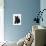 Scottish Terrier and Bow-Fab Funky-Art Print displayed on a wall