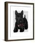 Scottish Terrier and Bow-Fab Funky-Framed Art Print