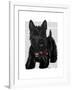 Scottish Terrier and Bow-Fab Funky-Framed Art Print