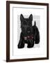 Scottish Terrier and Bow-Fab Funky-Framed Art Print