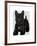 Scottish Terrier and Bow-Fab Funky-Framed Art Print