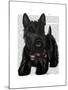 Scottish Terrier and Bow-Fab Funky-Mounted Art Print