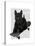 Scottish Terrier and Skateboard-Fab Funky-Stretched Canvas