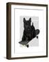 Scottish Terrier and Skateboard-Fab Funky-Framed Art Print