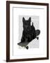 Scottish Terrier and Skateboard-Fab Funky-Framed Art Print