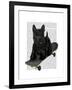 Scottish Terrier and Skateboard-Fab Funky-Framed Art Print