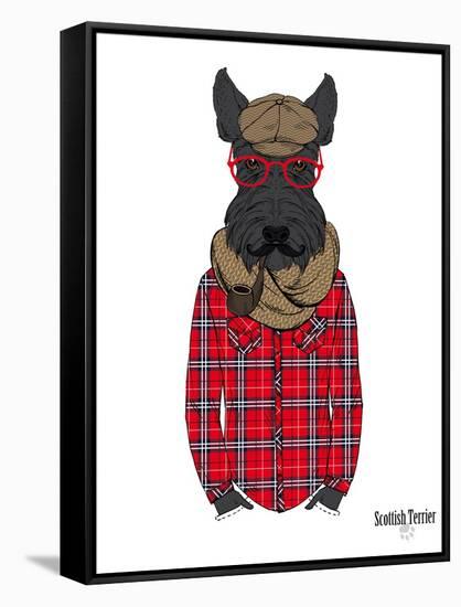 Scottish Terrier in Pin Plaid Shirt-Olga Angellos-Framed Stretched Canvas