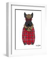 Scottish Terrier in Pin Plaid Shirt-Olga Angellos-Framed Art Print