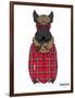 Scottish Terrier in Pin Plaid Shirt-Olga Angellos-Framed Art Print