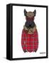 Scottish Terrier in Pin Plaid Shirt-Olga Angellos-Framed Stretched Canvas