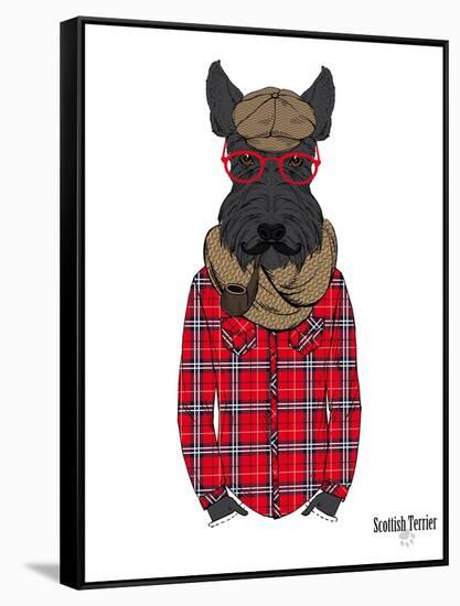 Scottish Terrier in Pin Plaid Shirt-Olga Angellos-Framed Stretched Canvas