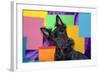 Scottish Terrier Portrait in Colors-Zandria Muench Beraldo-Framed Photographic Print