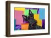 Scottish Terrier Portrait in Colors-Zandria Muench Beraldo-Framed Photographic Print