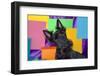 Scottish Terrier Portrait in Colors-Zandria Muench Beraldo-Framed Photographic Print
