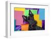 Scottish Terrier Portrait in Colors-Zandria Muench Beraldo-Framed Photographic Print