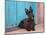 Scottish Terrier Sitting by Colorful Doorway-Zandria Muench Beraldo-Mounted Photographic Print