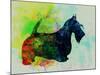 Scottish Terrier Watercolor-NaxArt-Mounted Art Print