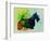 Scottish Terrier Watercolor-NaxArt-Framed Art Print