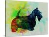 Scottish Terrier Watercolor-NaxArt-Stretched Canvas