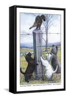 Scottish Terrier, West Highland Terrier, Skye Terrier-Louis Agassiz Fuertes-Framed Stretched Canvas