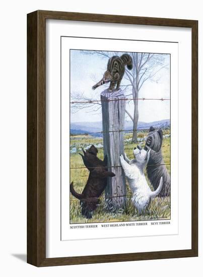 Scottish Terrier, West Highland Terrier, Skye Terrier-Louis Agassiz Fuertes-Framed Art Print